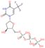 2'-deoxy-5-(trifluoromethyl)uridine 5'-(tetrahydrogen triphosphate)