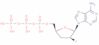 2',3'-dideoxy-2'-fluoroadenosine triphosphate