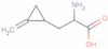 2-methylenecyclopropylalanine