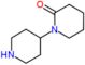 1,4'-bipiperidin-2-one