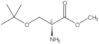 O-(1,1-Dimethylethyl)-L-serine methyl ester