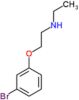 2-(3-bromophenoxy)-N-ethylethanamine