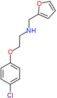 2-(4-chlorophenoxy)-N-(furan-2-ylmethyl)ethanamine