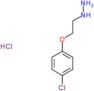 [2-(4-chlorophenoxy)ethyl]hydrazine hydrochloride