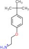 2-(4-tert-butylphenoxy)ethanaminium