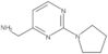 2-(1-Pyrrolidinyl)-4-pyrimidinemethanamine