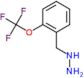 [2-(trifluoromethoxy)benzyl]hydrazine