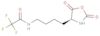 Acetamide, N-(4-(2,5-dioxo-4-oxazolidinyl)butyl)-2,2,2-trifluoro-,