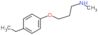 3-(4-Ethylphenoxy)-N-methyl-1-propanamine