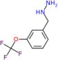 [3-(trifluoromethoxy)benzyl]hydrazine