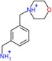 1-[3-(morpholin-4-ylmethyl)phenyl]methanamine