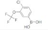 [4-CHLORO-3-(TRIFLUOROMETHOXY)PHENYL]BORONIC ACID