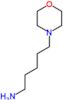 5-morpholin-4-ylpentan-1-amine