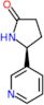 (5S)-5-(pyridin-3-yl)pyrrolidin-2-one