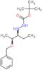 tert-butyl 2-[(1S,2S)-2-(benzyloxy)-1-ethylpropyl]hydrazinecarboxylate