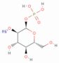 alpha-D-Glucose-1-phosphate disodium salt tetrahydrate