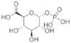 A-D-glucuronic acid 1-phosphate*tripotassium