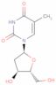 A-thymidine