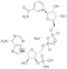 B-nicotinamide adenine dinucleotide*3-phosphate