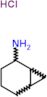 bicyclo[4.1.0]heptan-2-amine hydrochloride