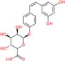 (3R,4R,5R,6R)-6-[4-[(Z)-2-(3,5-dihydroxyphenyl)vinyl]phenoxy]-3,4,5-trihydroxy-tetrahydropyran-2...