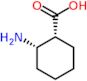 (1R,2S)-2-aminocyclohexanecarboxylic acid