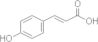 cis-4-hydroxycinnamic acid