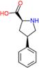 (4R)-4-phenyl-L-proline