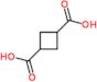 cyclobutane-1,3-dicarboxylic acid