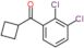 cyclobutyl-(2,3-dichlorophenyl)methanone