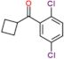 cyclobutyl-(2,5-dichlorophenyl)methanone