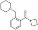 cyclobutyl-[2-(1-piperidylmethyl)phenyl]methanone