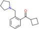 Cyclobutyl[2-(1-pyrrolidinylmethyl)phenyl]methanone