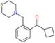 Cyclobutyl[2-(4-thiomorpholinylmethyl)phenyl]methanone