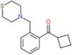 cyclobutyl-[2-(thiomorpholinomethyl)phenyl]methanone