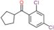 cyclopentyl-(2,4-dichlorophenyl)methanone