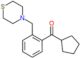 Cyclopentyl[2-(4-thiomorpholinylmethyl)phenyl]methanone