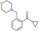 Cyclopropyl[2-(4-thiomorpholinylmethyl)phenyl]methanone