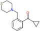 cyclopropyl-[2-(thiomorpholinomethyl)phenyl]methanone