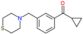 Cyclopropyl[3-(4-thiomorpholinylmethyl)phenyl]methanone