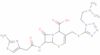 delta(3)-Cefotiam