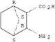 (1R,2S,3R,4R)-3-ammoniobicyclo[2.2.1]heptane-2-carboxylate