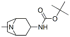 1,1-Dimethylethyl N-(3-endo)-8-azabicyclo[3.2.1]oct-3-ylcarbamate