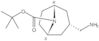 1,1-Dimethylethyl (3-endo)-3-(aminomethyl)-8-azabicyclo[3.2.1]octane-8-carboxylate