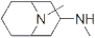 Methyl-(9-methyl-9-azabicyclo[3.3.1]non-3-yl)amine