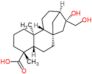 (5beta,8alpha,9beta,10alpha,13alpha,16beta)-16,17-dihydroxykauran-18-oic acid