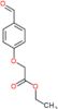 ethyl (4-formylphenoxy)acetate