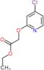 ethyl [(4-chloropyridin-2-yl)oxy]acetate