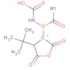 Carbamic acid, [(3S)-tetrahydro-2,5-dioxo-3-furanyl]-, 1,1-dimethylethylester