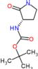 tert-butyl [(3S)-2-oxopyrrolidin-3-yl]carbamate